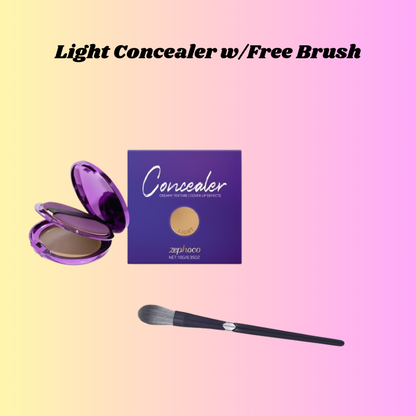 Efficient Concealer Plate